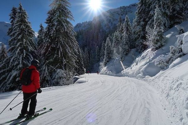 Comment planifier vos vacances de luxe en montagne : conseils et astuces