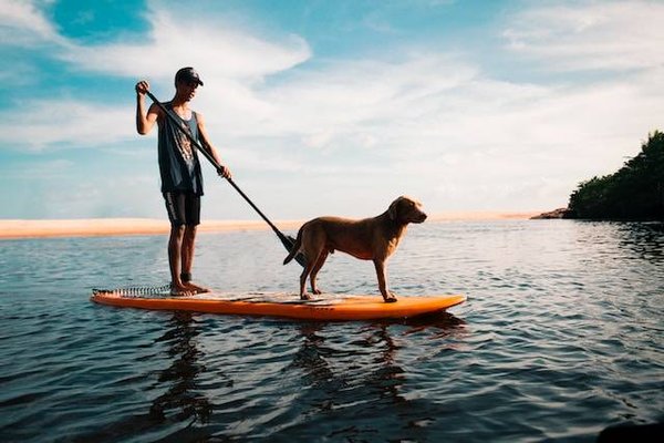 A quelle période visiter la Vendée?