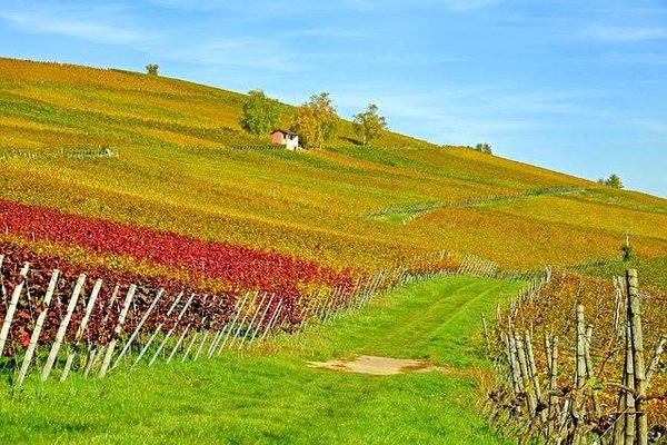 Les meilleurs campings 4 étoiles du Médoc pour des vacances de rêve