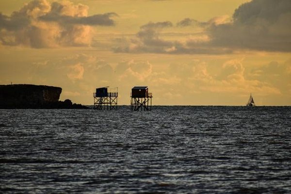 Découvrez le Charme de la Location de Luxe en Charente-Maritime